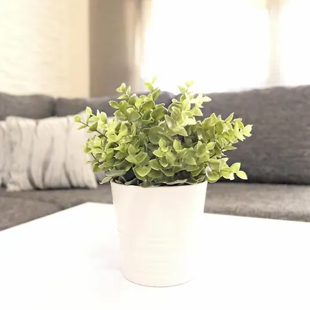 Apartment Sapphire & Ivory Luxury - *