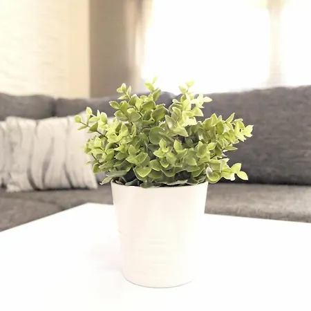 Appartamento Sapphire & Ivory Luxury - *