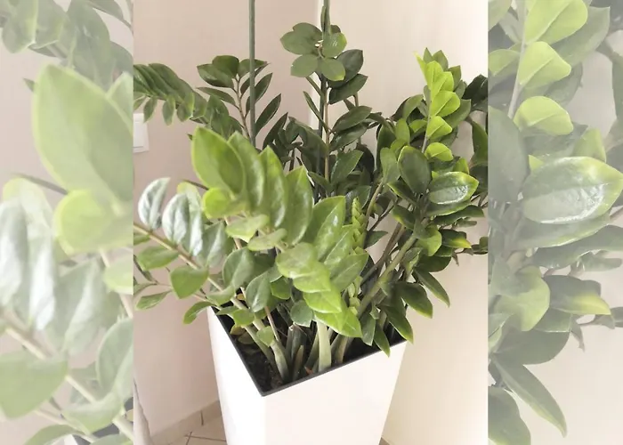 Sapphire & Ivory Luxury - Kavala